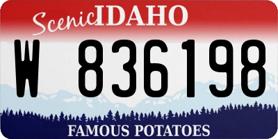 ID license plate W836198