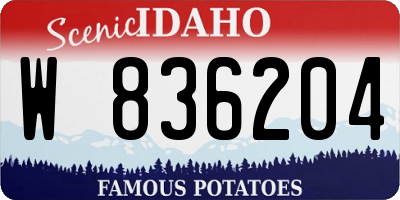 ID license plate W836204