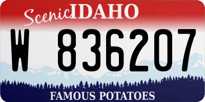 ID license plate W836207