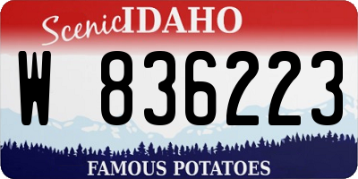 ID license plate W836223