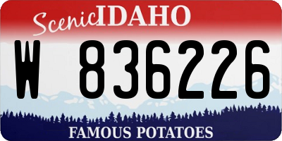 ID license plate W836226