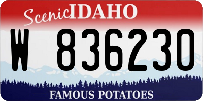 ID license plate W836230