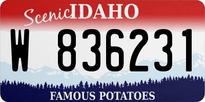 ID license plate W836231