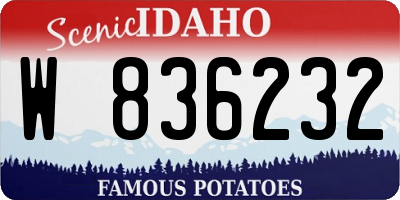 ID license plate W836232