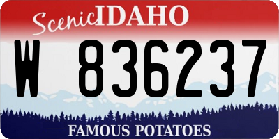 ID license plate W836237