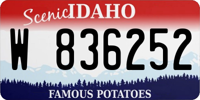 ID license plate W836252