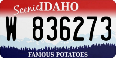 ID license plate W836273