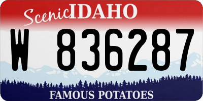 ID license plate W836287