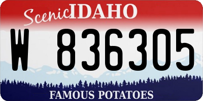 ID license plate W836305