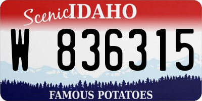 ID license plate W836315
