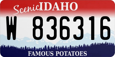 ID license plate W836316