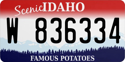 ID license plate W836334