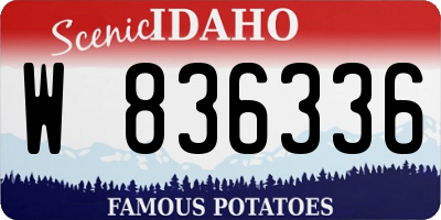 ID license plate W836336