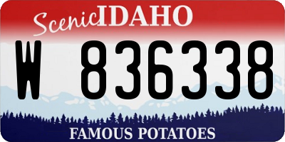 ID license plate W836338