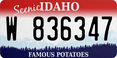 ID license plate W836347