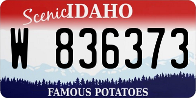 ID license plate W836373
