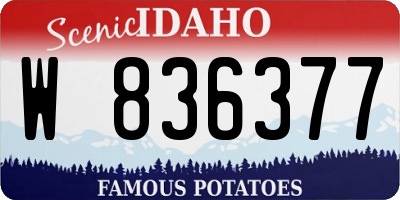 ID license plate W836377