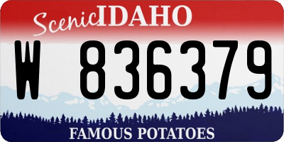 ID license plate W836379