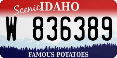 ID license plate W836389