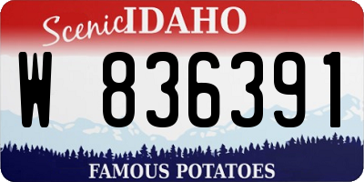 ID license plate W836391