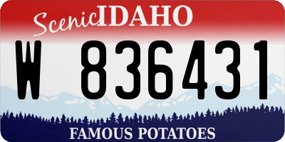 ID license plate W836431