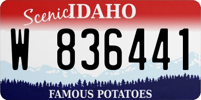 ID license plate W836441