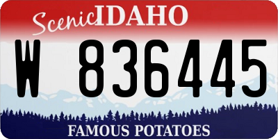 ID license plate W836445