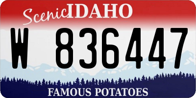 ID license plate W836447