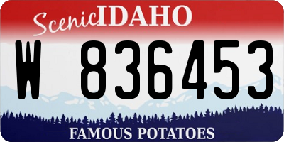 ID license plate W836453