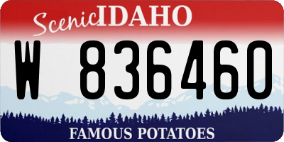 ID license plate W836460