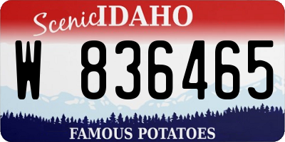 ID license plate W836465