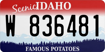 ID license plate W836481