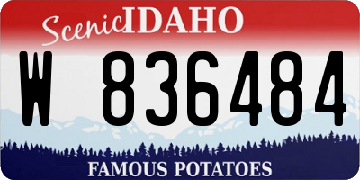 ID license plate W836484