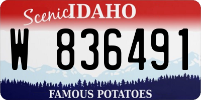 ID license plate W836491