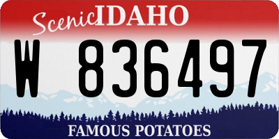 ID license plate W836497