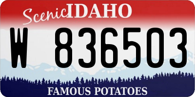 ID license plate W836503