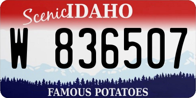 ID license plate W836507