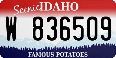 ID license plate W836509