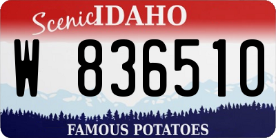 ID license plate W836510