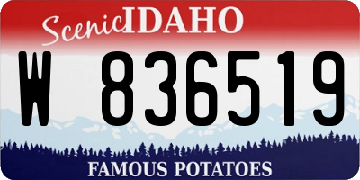 ID license plate W836519