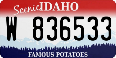 ID license plate W836533