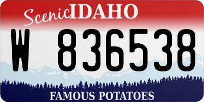ID license plate W836538