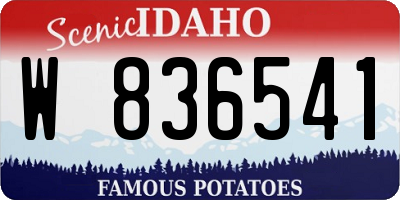ID license plate W836541