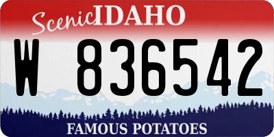 ID license plate W836542