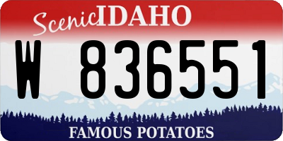 ID license plate W836551