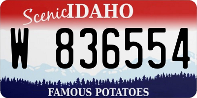 ID license plate W836554