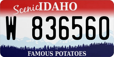 ID license plate W836560
