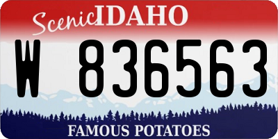 ID license plate W836563