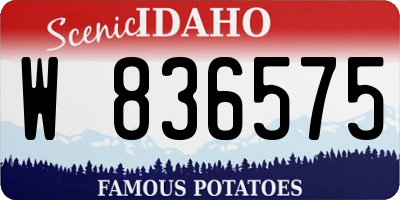 ID license plate W836575