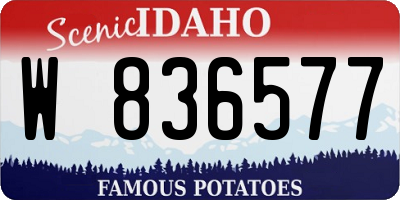 ID license plate W836577